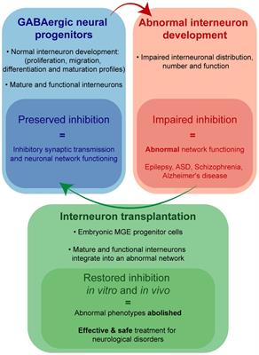 Frontiers Cell therapy for neurological disorders Progress